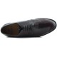 MARTINELLI METROPOLIT ZAPATO VESTIR CHAROL  BURDEOS