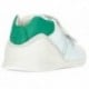 DEPORTIVA BIOMECANICS BEBE NIÑO 222125-B VERDE