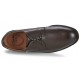 CLARKS CHILVER WALK GTX  MARRON