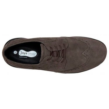 JOYA PASO FINO 2 M GREY