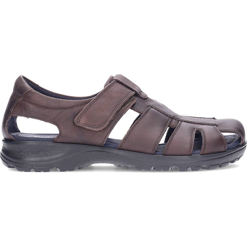 SANDALIAS CALLAGHAN SINATRA MARRON